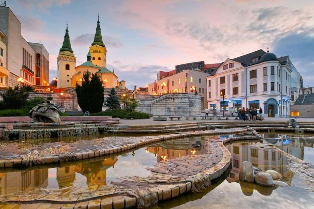 Lovely Apartment - Zilina Centrum Bagian luar foto